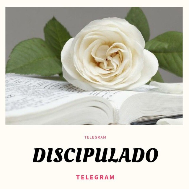 🌷 DISCIPULADO FEMININO