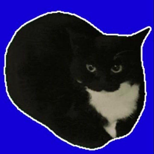 Maxwellcat Official Community