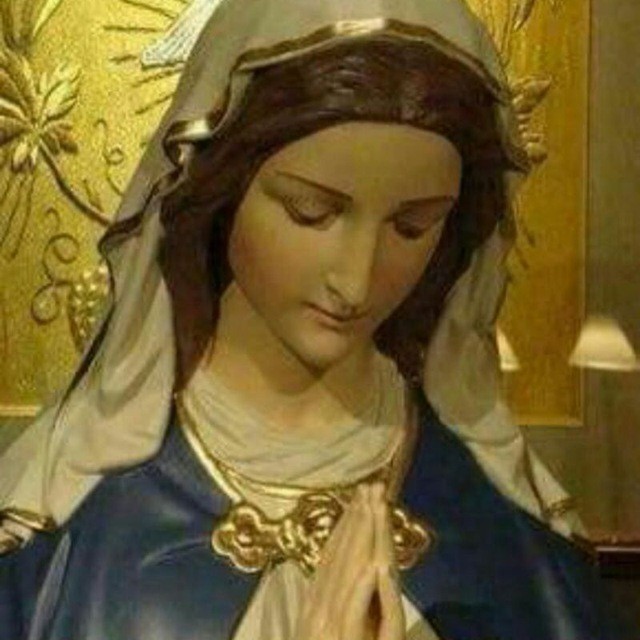 GuerreirosdaImaculada 🌹🌹